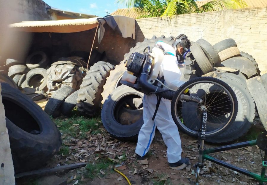 FIGUEIRÃO CONTRA A DENGUE