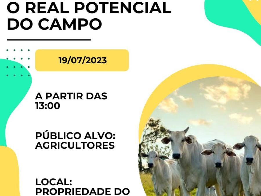 PROJETO RONDON