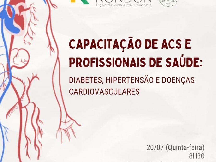 PROJETO RONDON