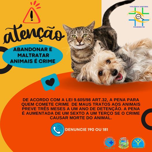 Abandonar e maltratar animais é crime