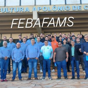 Maestro Ronildo participa de reunião na FEBAFAMS